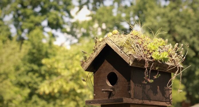 Şehri Sessize Alıyoruz